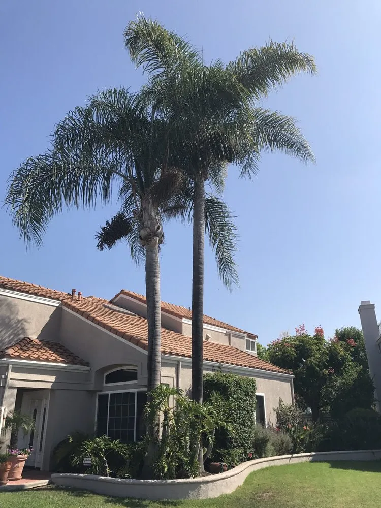 Local landscaping services in Santa Ana, CA - Sam's Tree Service & Landscaping