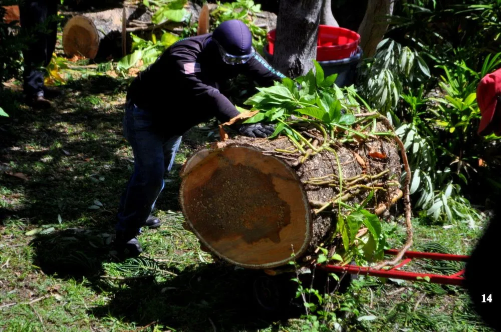 Custom outdoor landscaping for beautiful yards in Santa Ana, CA by Sam's Tree Service & Landscaping