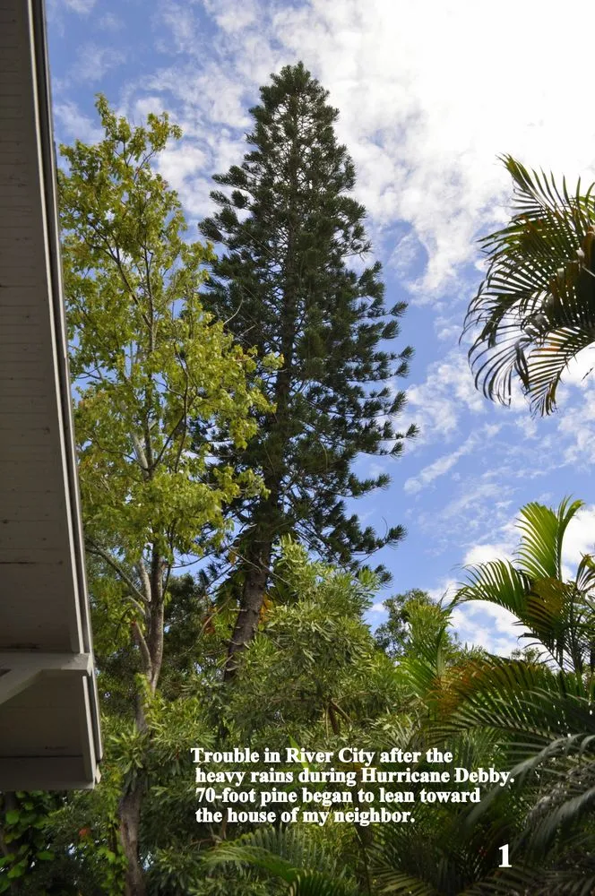 Custom landscaping services with custom design in Santa Ana, CA by Sam's Tree Service & Landscaping