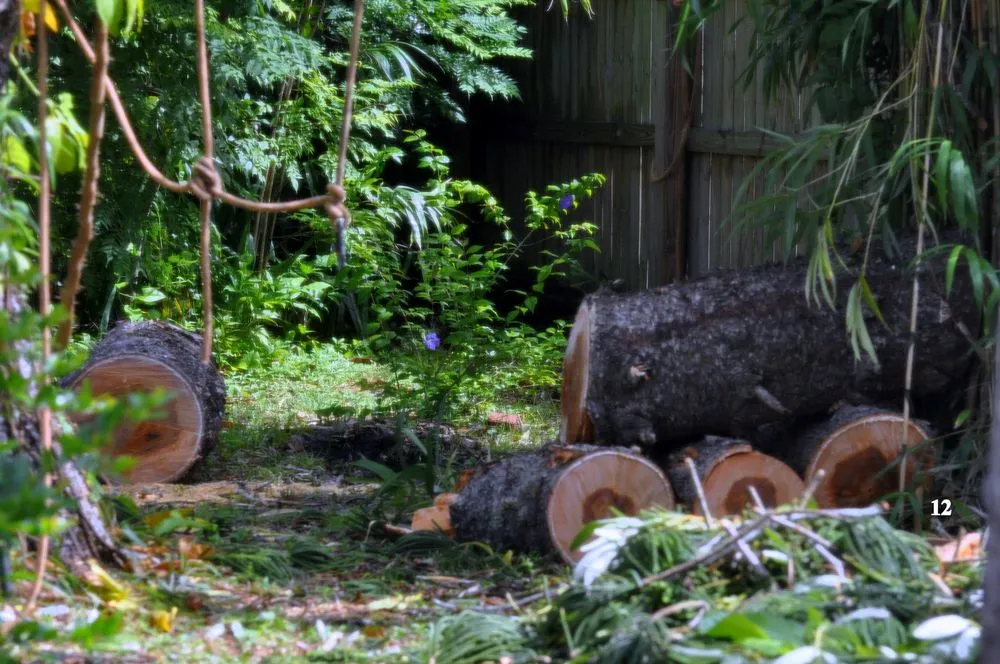 Reliable landscape design for residential properties across Santa Ana, CA - Sam's Tree Service & Landscaping