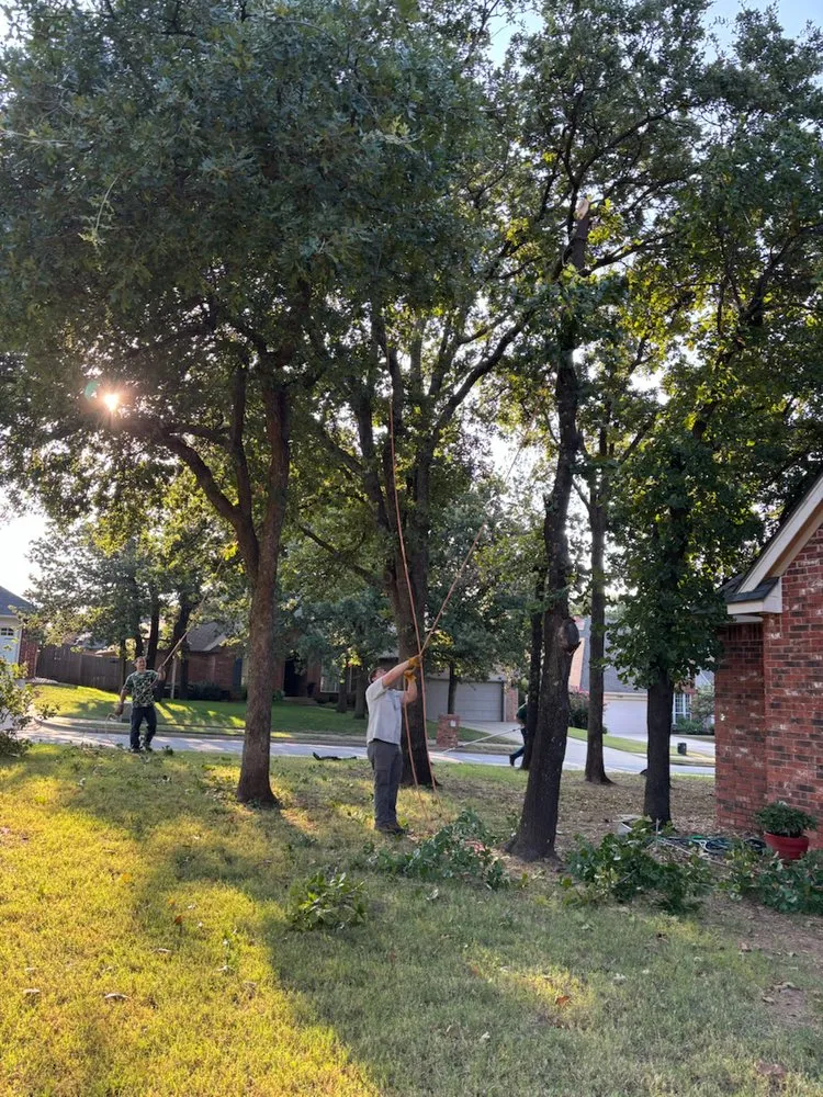 Affordable landscape installation for residential properties across Edmond, OK - Sam's Tree Service & Stump Grinding