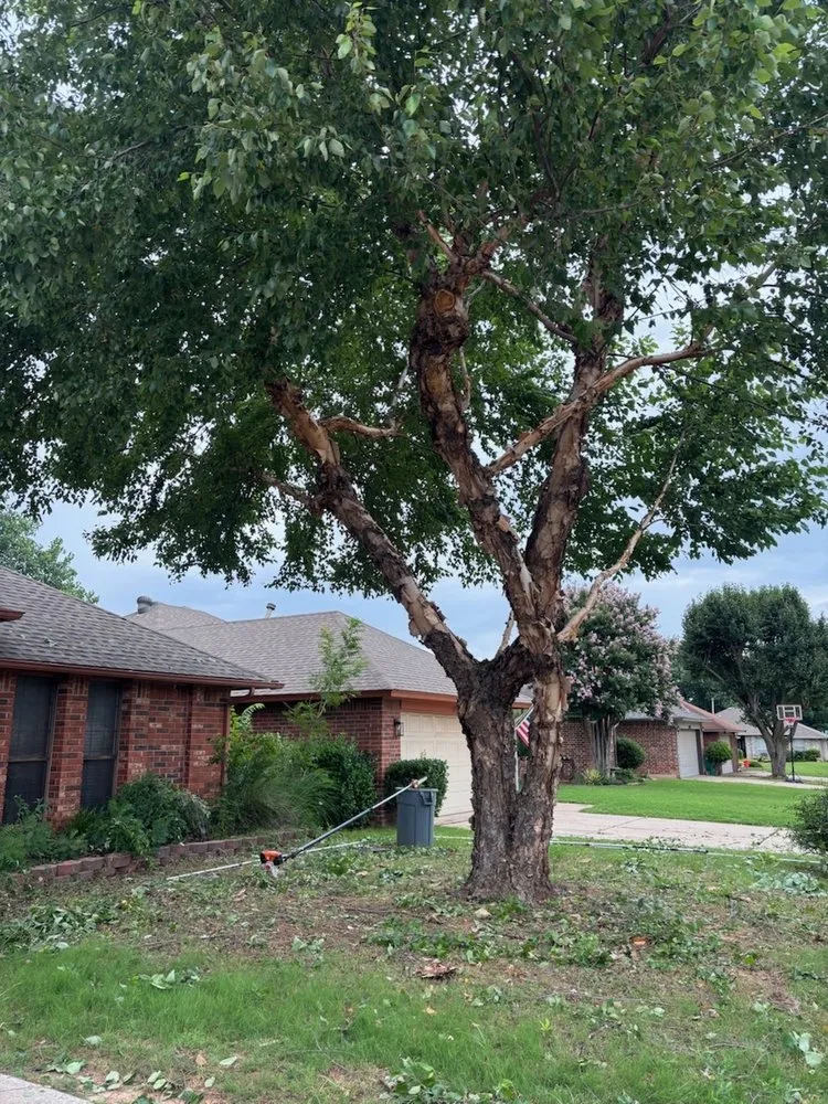 Reliable lawn care service experts serving Edmond, OK - Sam's Tree Service & Stump Grinding