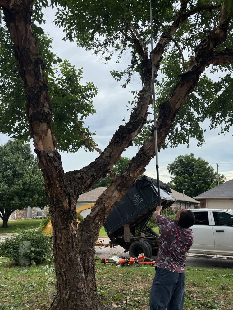 Reliable garden landscaping in Edmond, OK by Sam's Tree Service & Stump Grinding