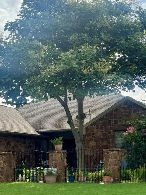 Affordable yard maintenance experts serving Edmond, OK - Sam's Tree Service & Stump Grinding