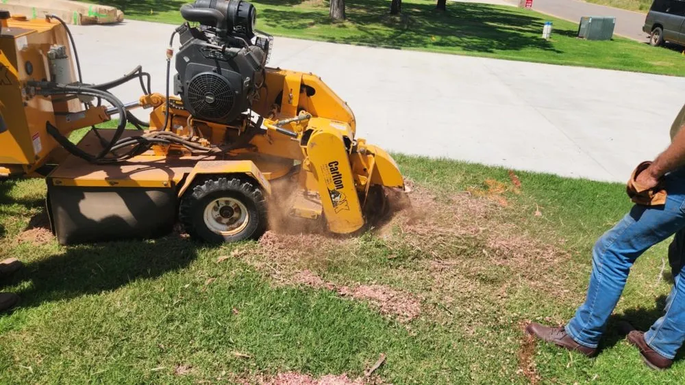 Top-rated lawn care service in Edmond, OK - Sam's Tree Service & Stump Grinding
