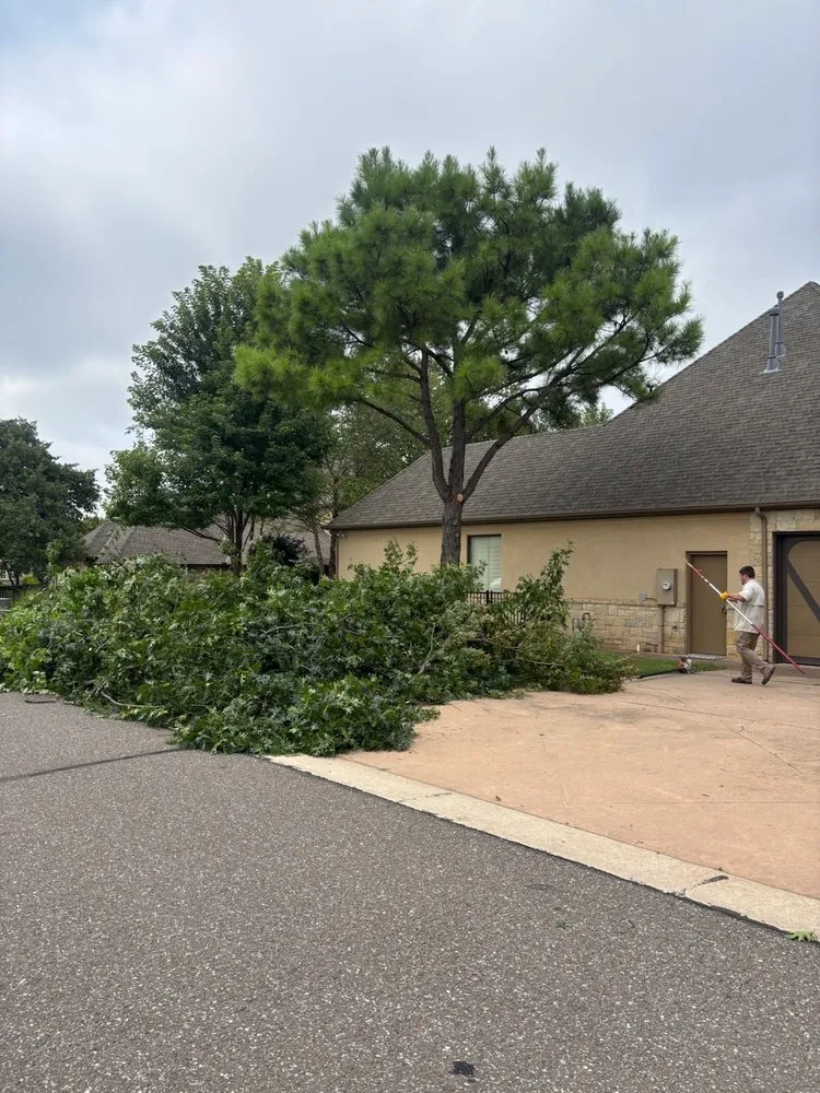 Professional yard maintenance in Edmond, OK - Sam's Tree Service & Stump Grinding