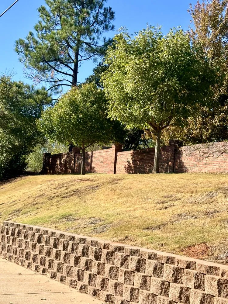 Custom yard cleanup service in Edmond, OK - Sam's Tree Service & Stump Grinding