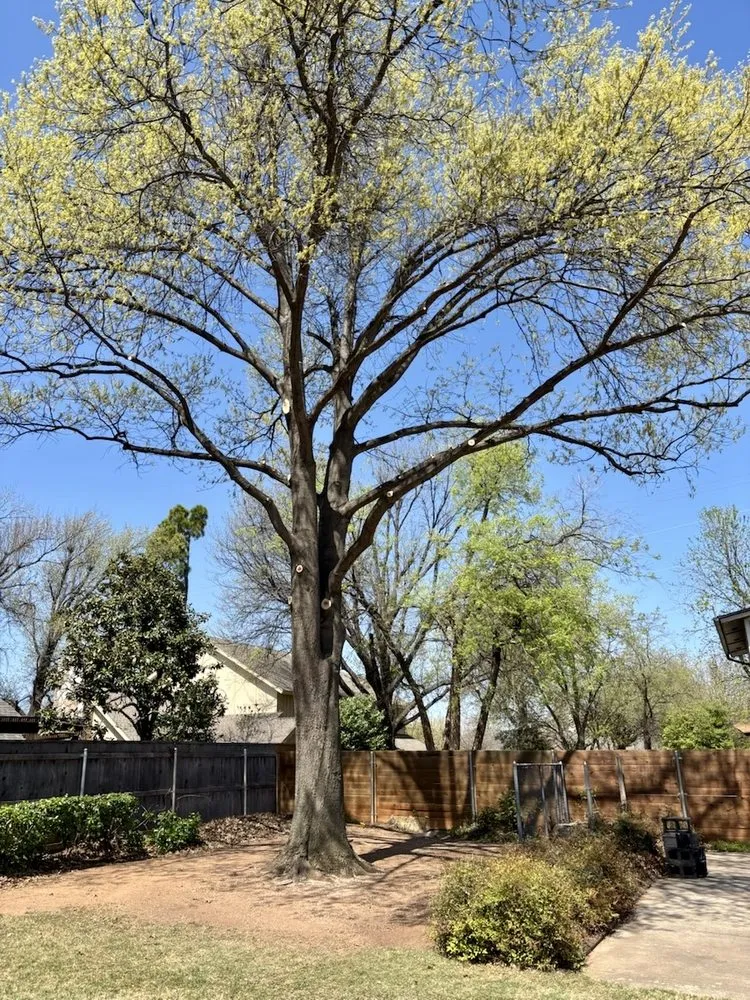 Local landscape design for homes in Edmond, OK by Sam's Tree Service & Stump Grinding