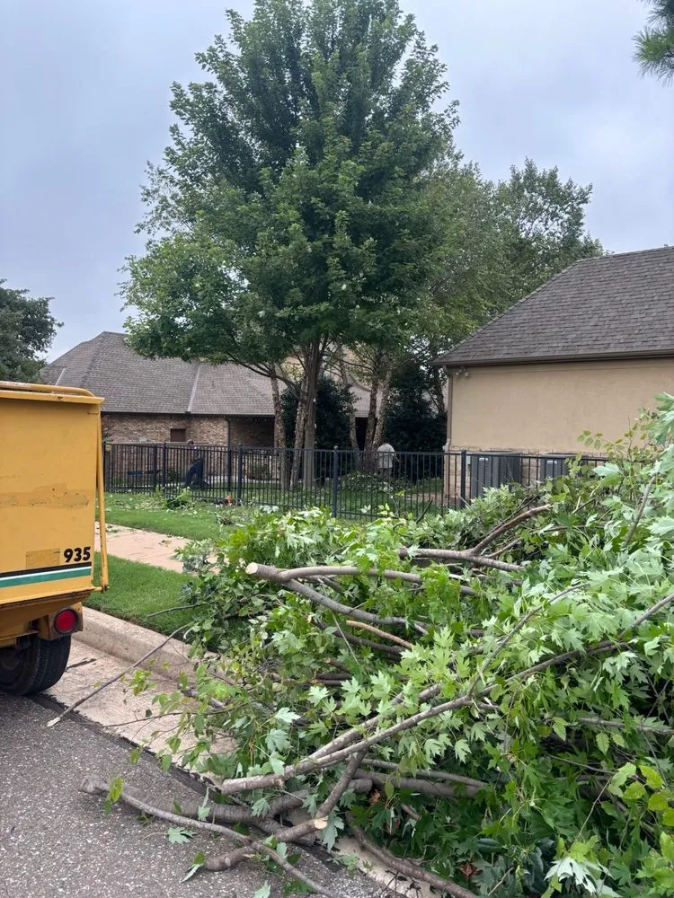 Local yard maintenance in Edmond, OK by Sam's Tree Service & Stump Grinding