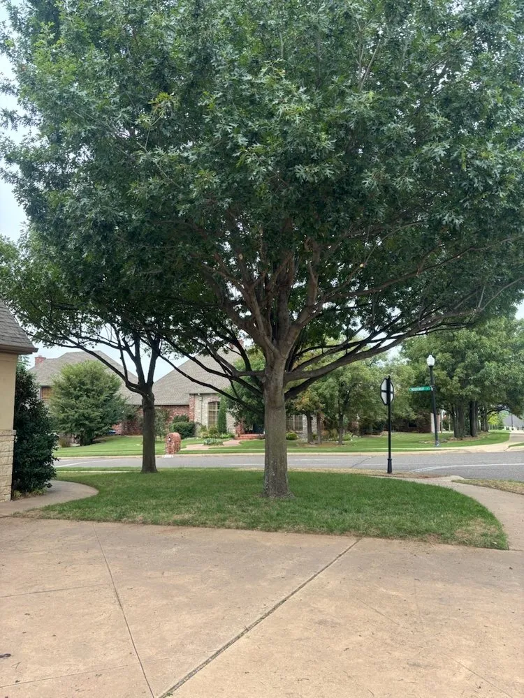 Affordable landscaping services in Edmond, OK - Sam's Tree Service & Stump Grinding