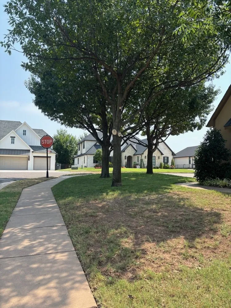 Trusted yard cleanup service in Edmond, OK by Sam's Tree Service & Stump Grinding