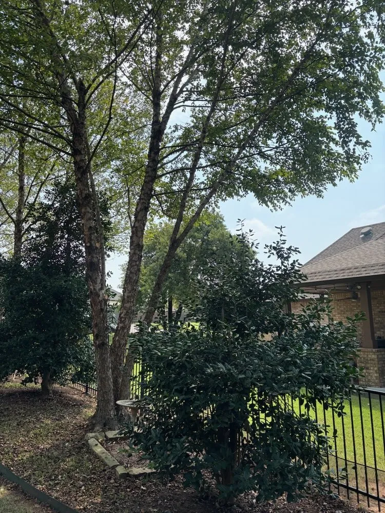 Top-rated yard cleanup service with custom design in Edmond, OK by Sam's Tree Service & Stump Grinding