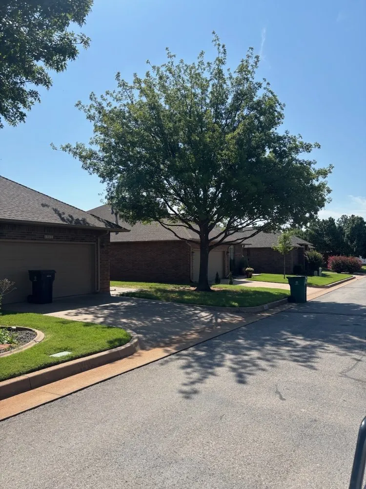 Affordable lawn care service in Edmond, OK by Sam's Tree Service & Stump Grinding