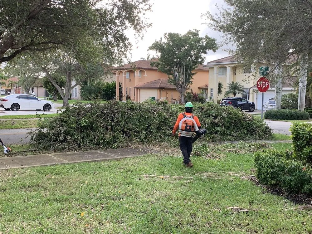 Expert lawn mowing service in Miami, FL - Sam’s Tree Service