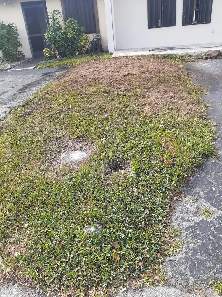 Reliable outdoor landscaping in Miami, FL - Sam’s Tree Service