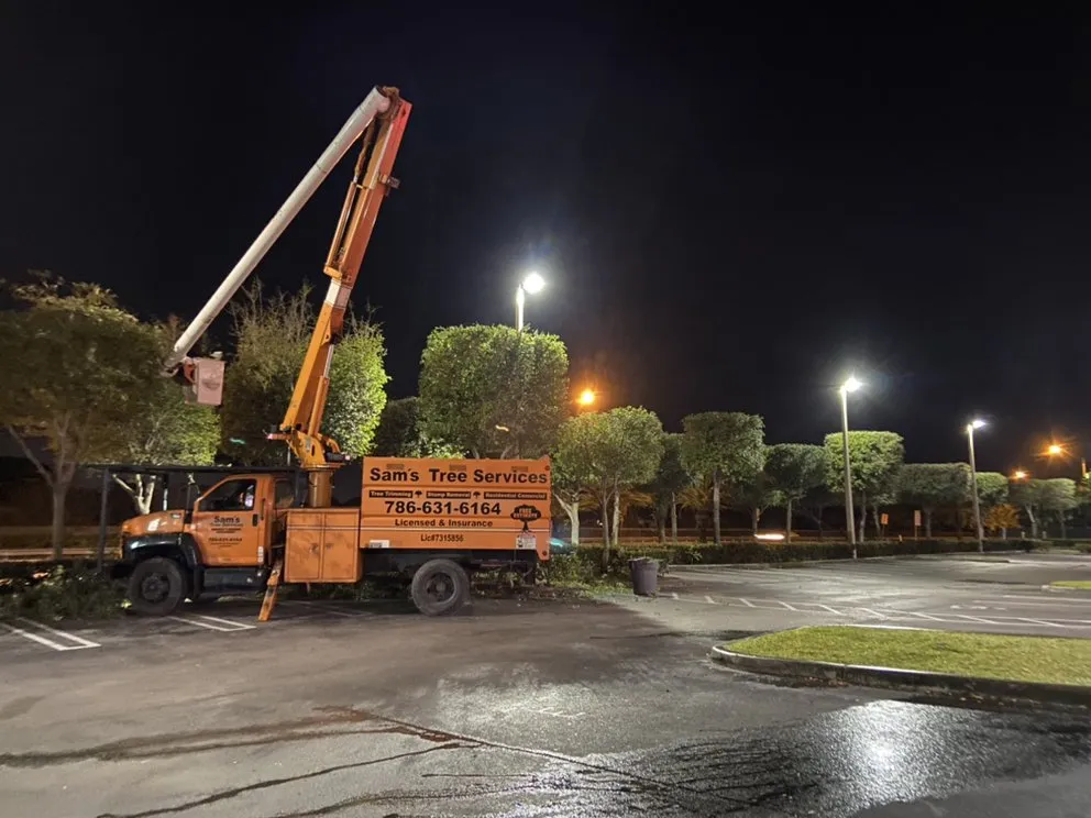 Professional yard cleanup service in Miami, FL - Sam’s Tree Service