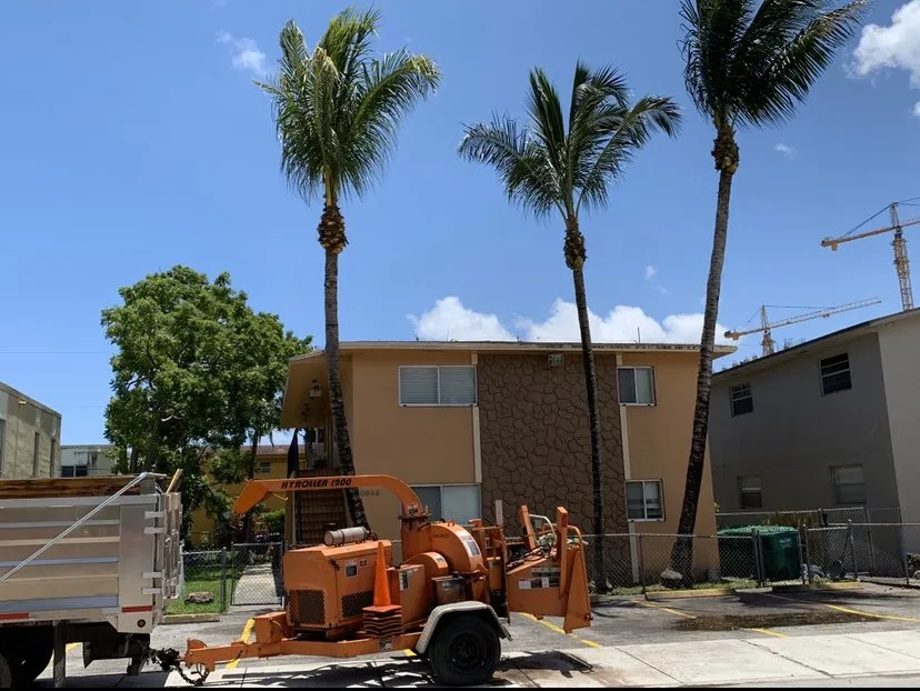 Professional yard maintenance for homes across Miami, FL - Sam’s Tree Service