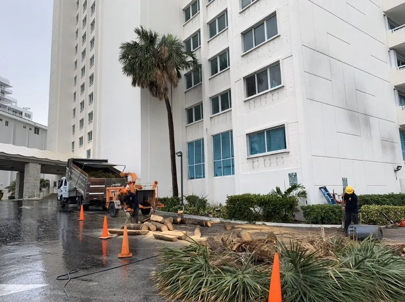 Reliable residential landscaping in Miami, FL by Sam’s Tree Service