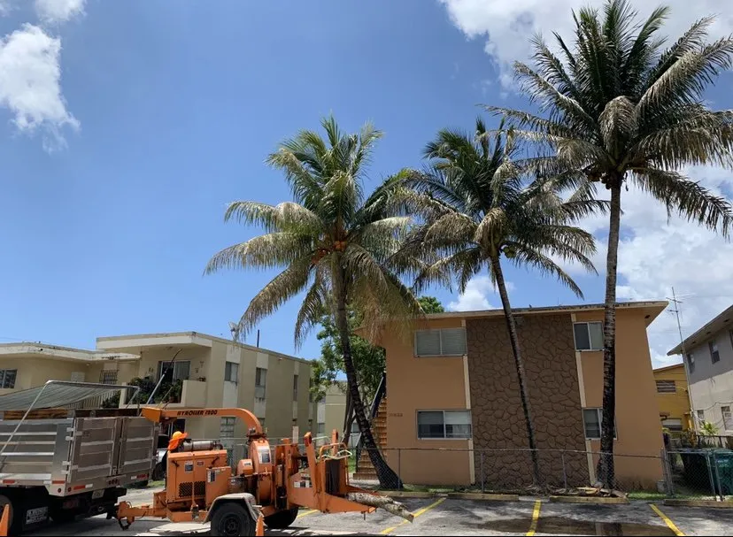 Top-rated landscape installation in Miami, FL - Sam’s Tree Service