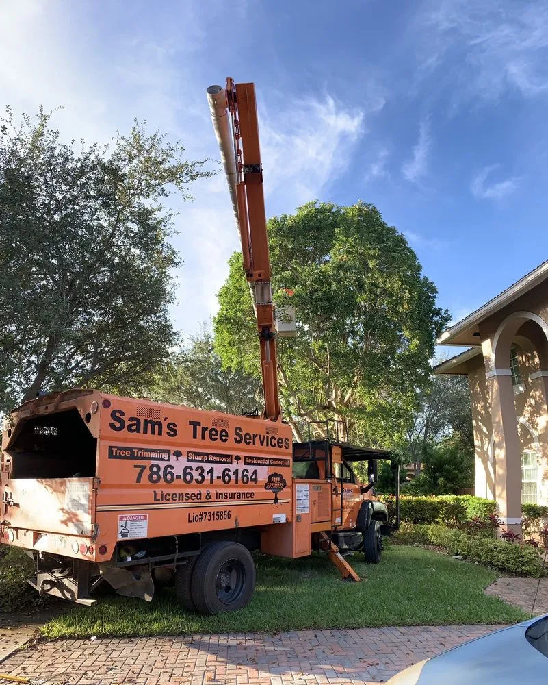 Affordable lawn mowing service in Miami, FL - Sam’s Tree Service