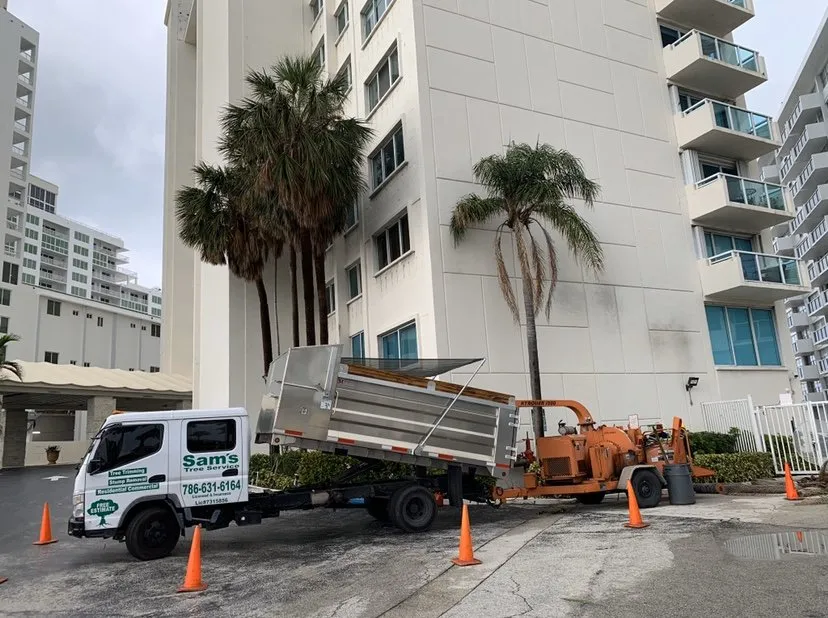 Top-rated yard cleanup service in Miami, FL - Sam’s Tree Service