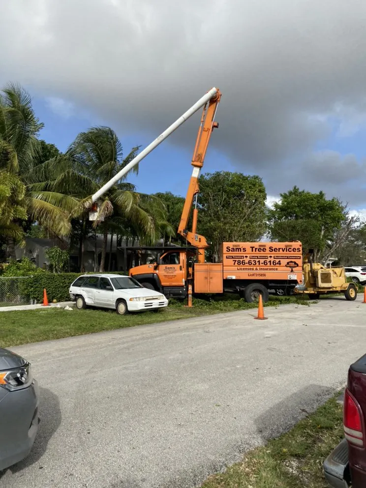 Affordable lawn care service for year-round maintenance in Miami, FL by Sam’s Tree Service