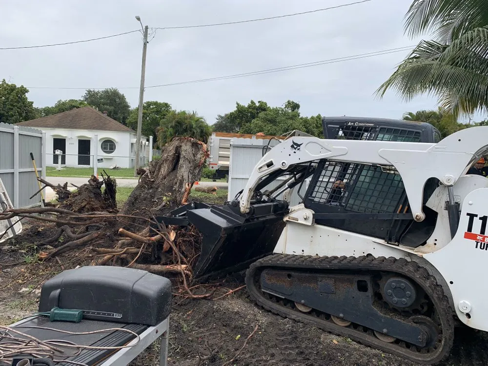 Custom landscape design for outdoor upgrades in Miami, FL by Sam’s Tree Service
