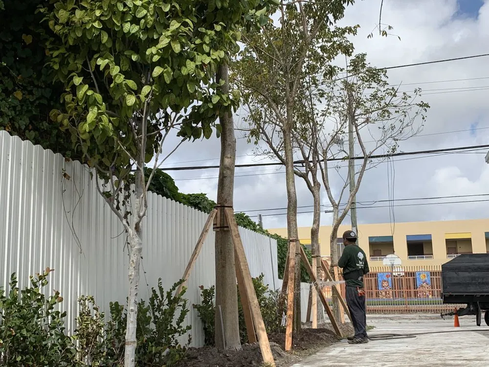 Custom landscape installation for homes across Miami, FL - Sam’s Tree Service