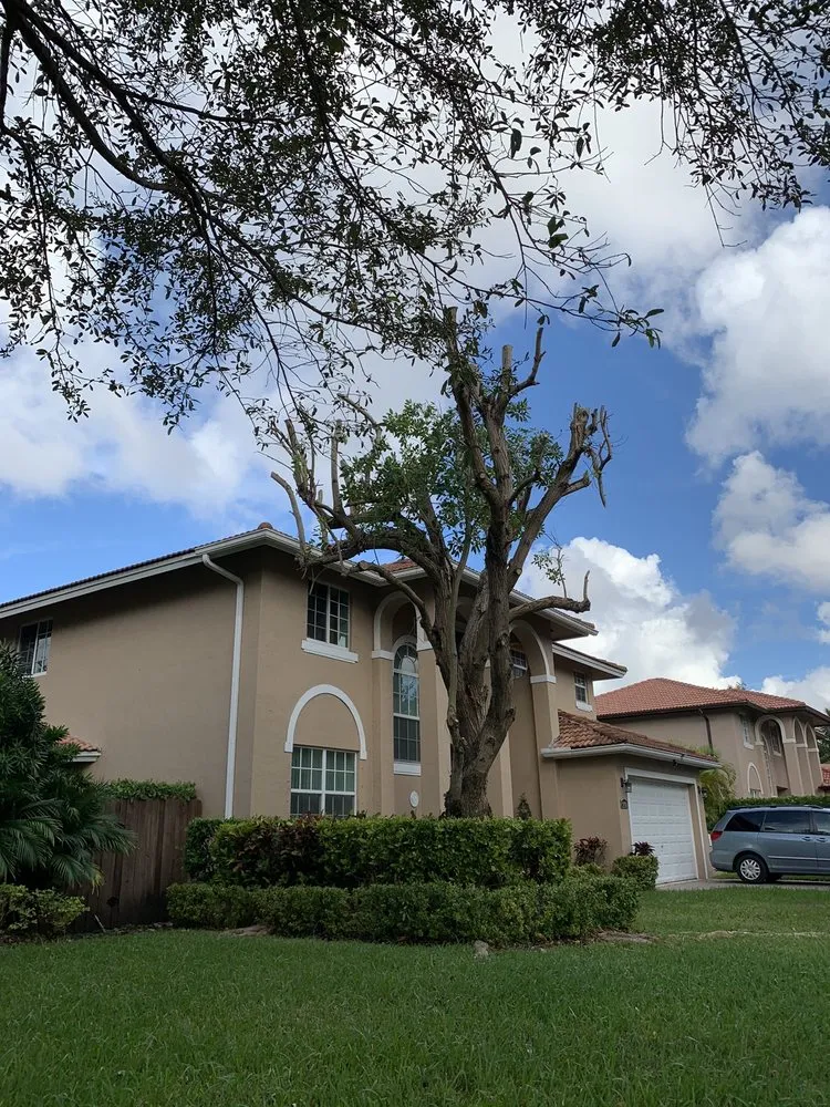 Trusted lawn care service near you across Miami, FL - Sam’s Tree Service