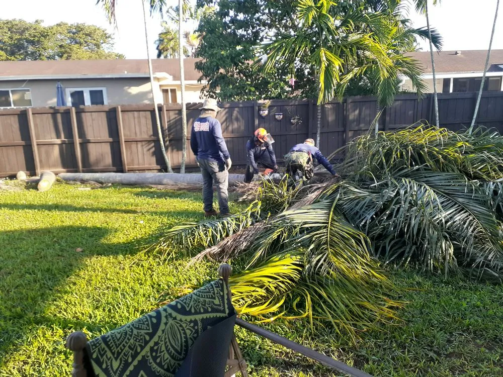Local yard maintenance for outdoor upgrades in Miami, FL by Sam’s Tree Service