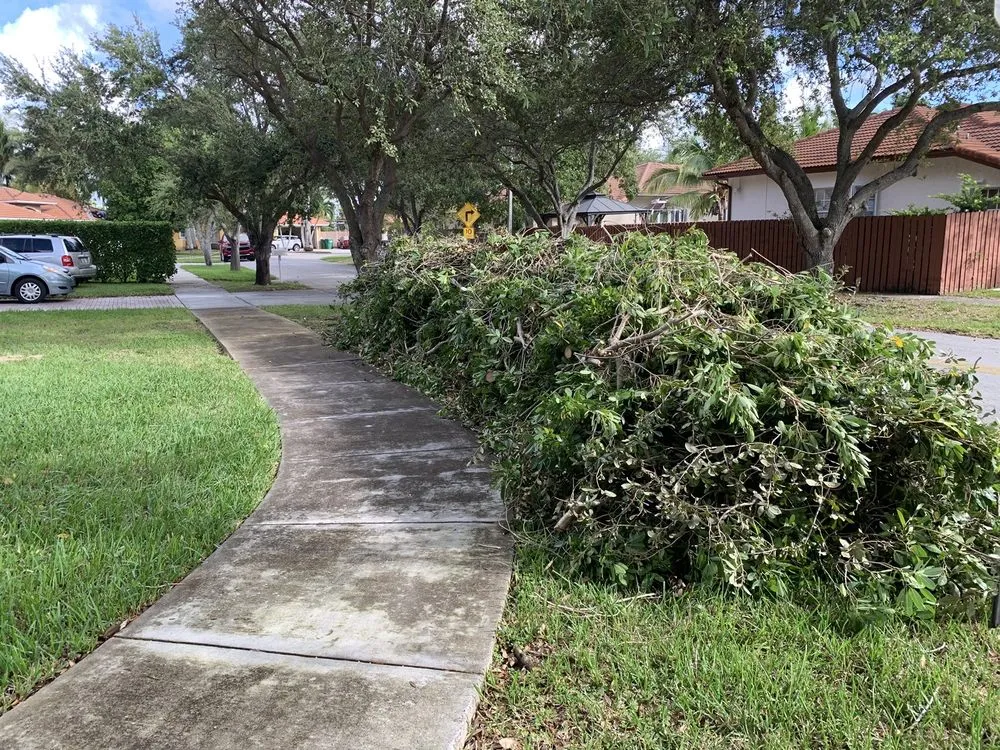 Reliable garden landscaping for outdoor upgrades across Miami, FL - Sam’s Tree Service