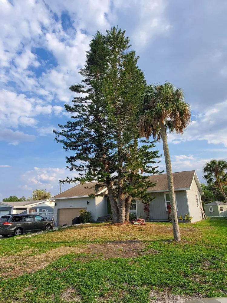 Trusted landscape design experts serving Sarasota, FL - Sam's Tree Service