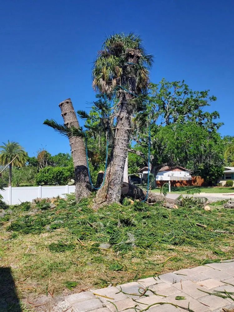 Custom landscaping services for residential properties across Sarasota, FL - Sam's Tree Service