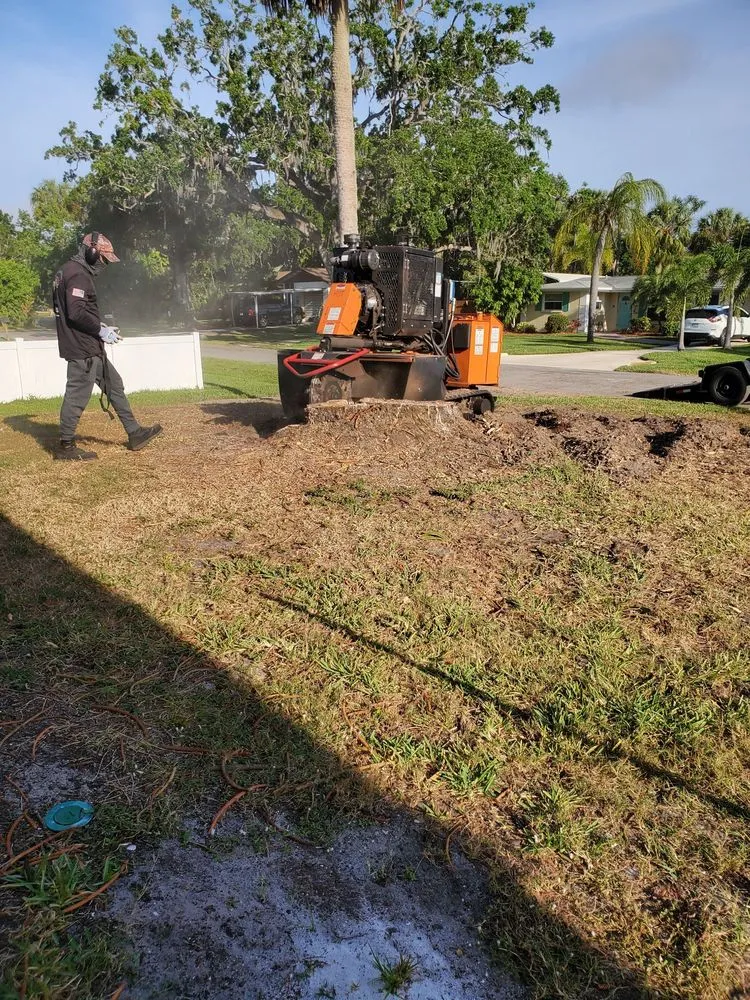 Affordable outdoor landscaping in Sarasota, FL - Sam's Tree Service