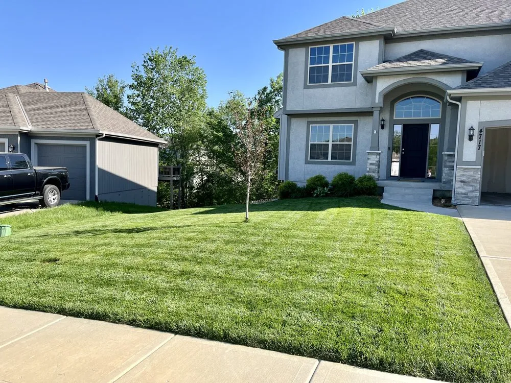 Professional yard cleanup service experts serving Independence, MO - Sam's Turf Care