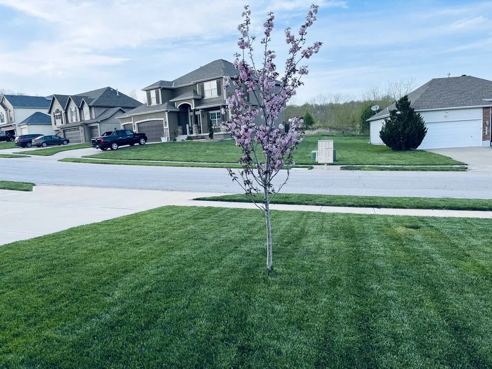 Local residential landscaping with custom design across Independence, MO - Sam's Turf Care