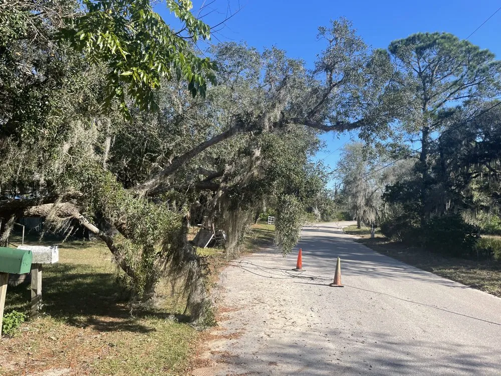 Reliable landscape design in Lake Wales, FL - Sams Yard Maintenance