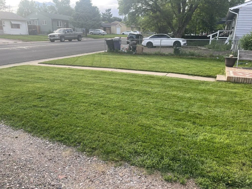 Reliable lawn care service near you across Lake Wales, FL - Sams Yard Maintenance