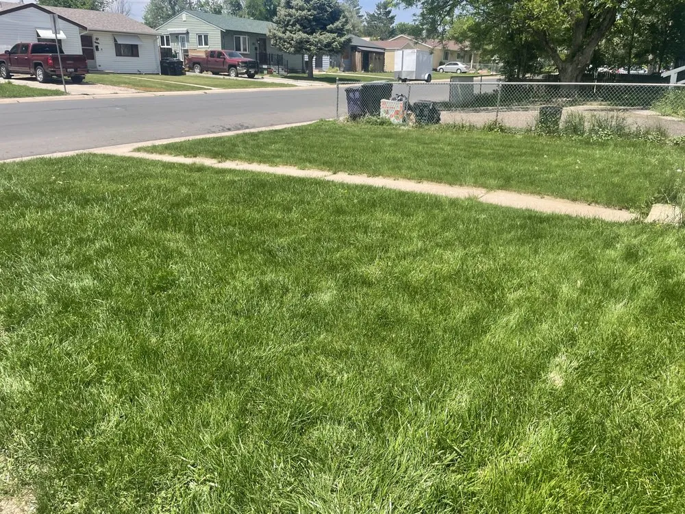 Professional yard cleanup service experts serving Lake Wales, FL - Sams Yard Maintenance