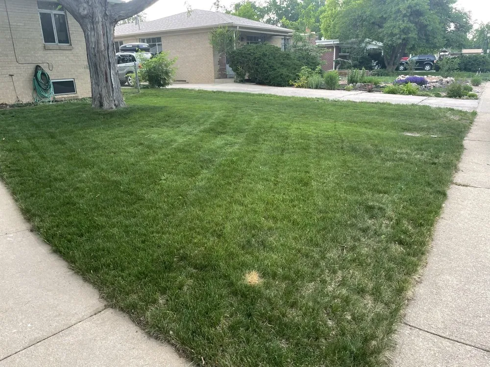 Reliable residential landscaping in Lake Wales, FL by Sams Yard Maintenance