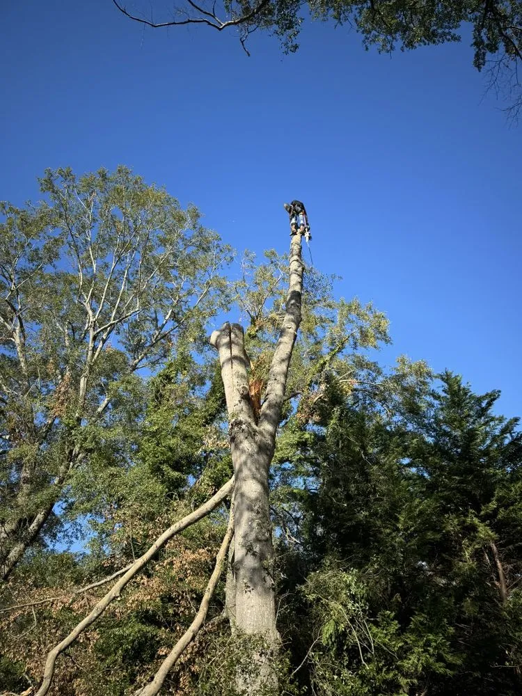 Custom landscaping services in Spartanburg, SC - Samscapes