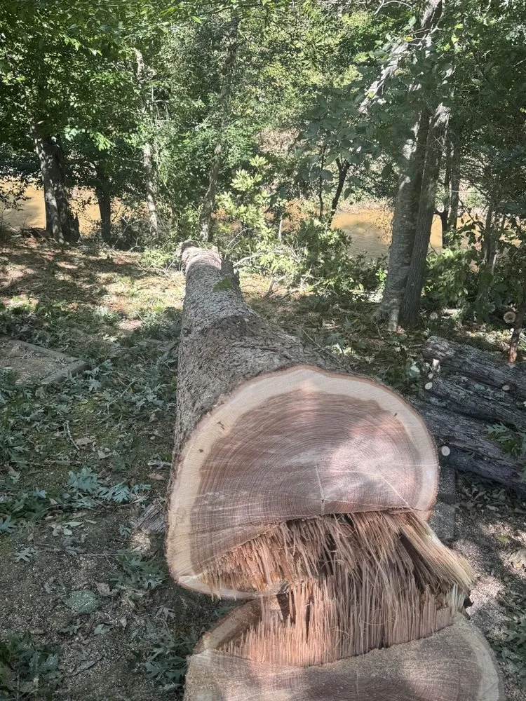 Reliable lawn care service in Spartanburg, SC - Samscapes