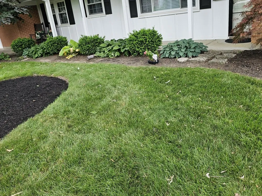 Local landscaping services for year-round maintenance in Germantown, OH by Samson Lawncare