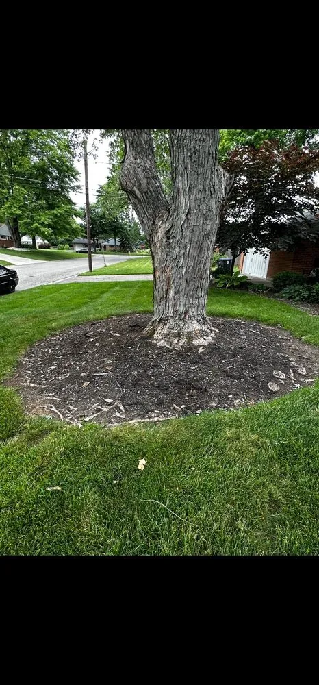 Trusted lawn care service for beautiful yards in Germantown, OH by Samson Lawncare