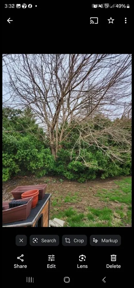 Professional lawn care service experts serving Germantown, OH - Samson Lawncare