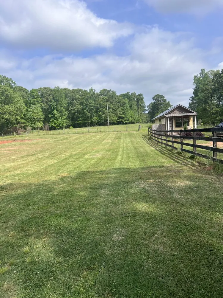 Reliable yard cleanup service in Locust Grove, GA by Samson