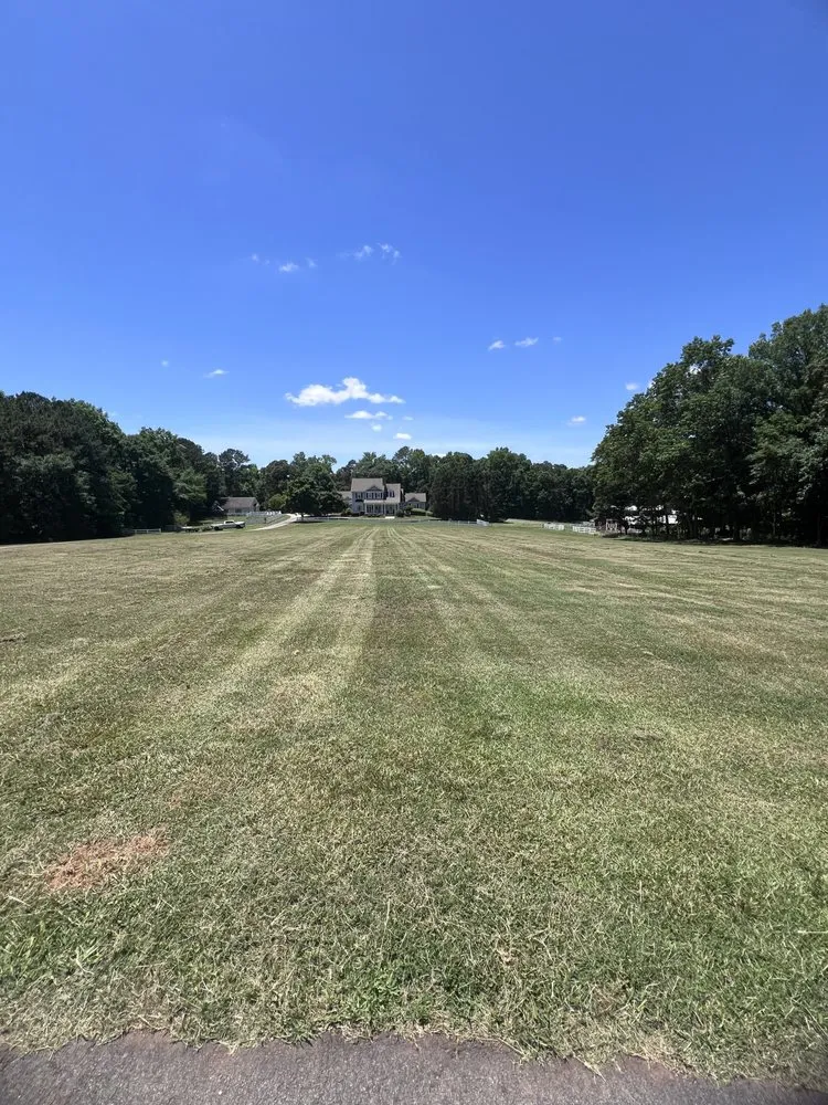 Top-rated residential landscaping experts serving Locust Grove, GA - Samson