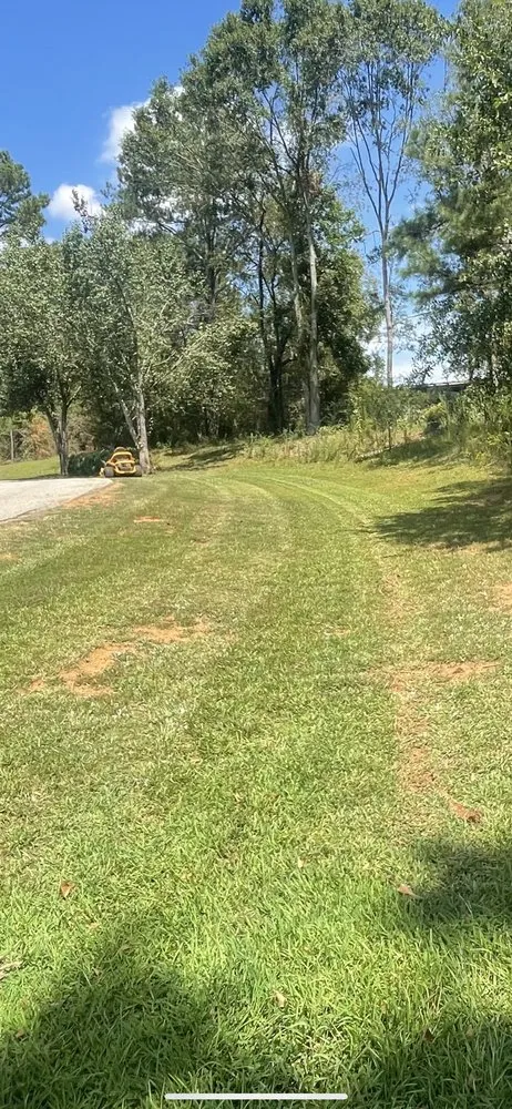 Local yard maintenance in Locust Grove, GA - Samson
