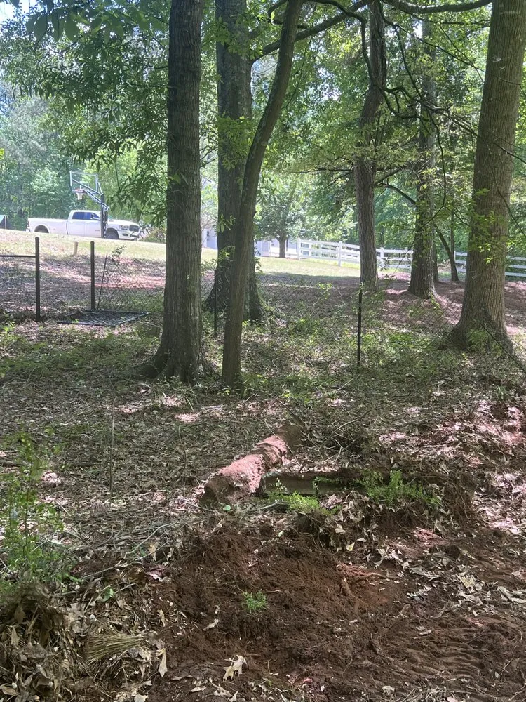 Reliable lawn mowing service experts serving Locust Grove, GA - Samson