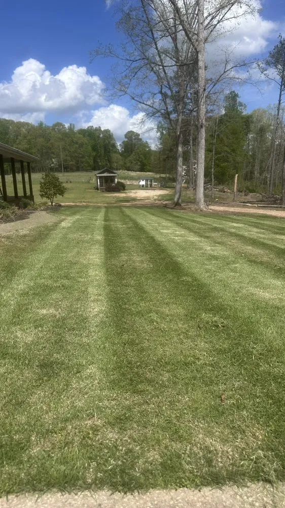 Custom residential landscaping for outdoor upgrades in Locust Grove, GA by Samson